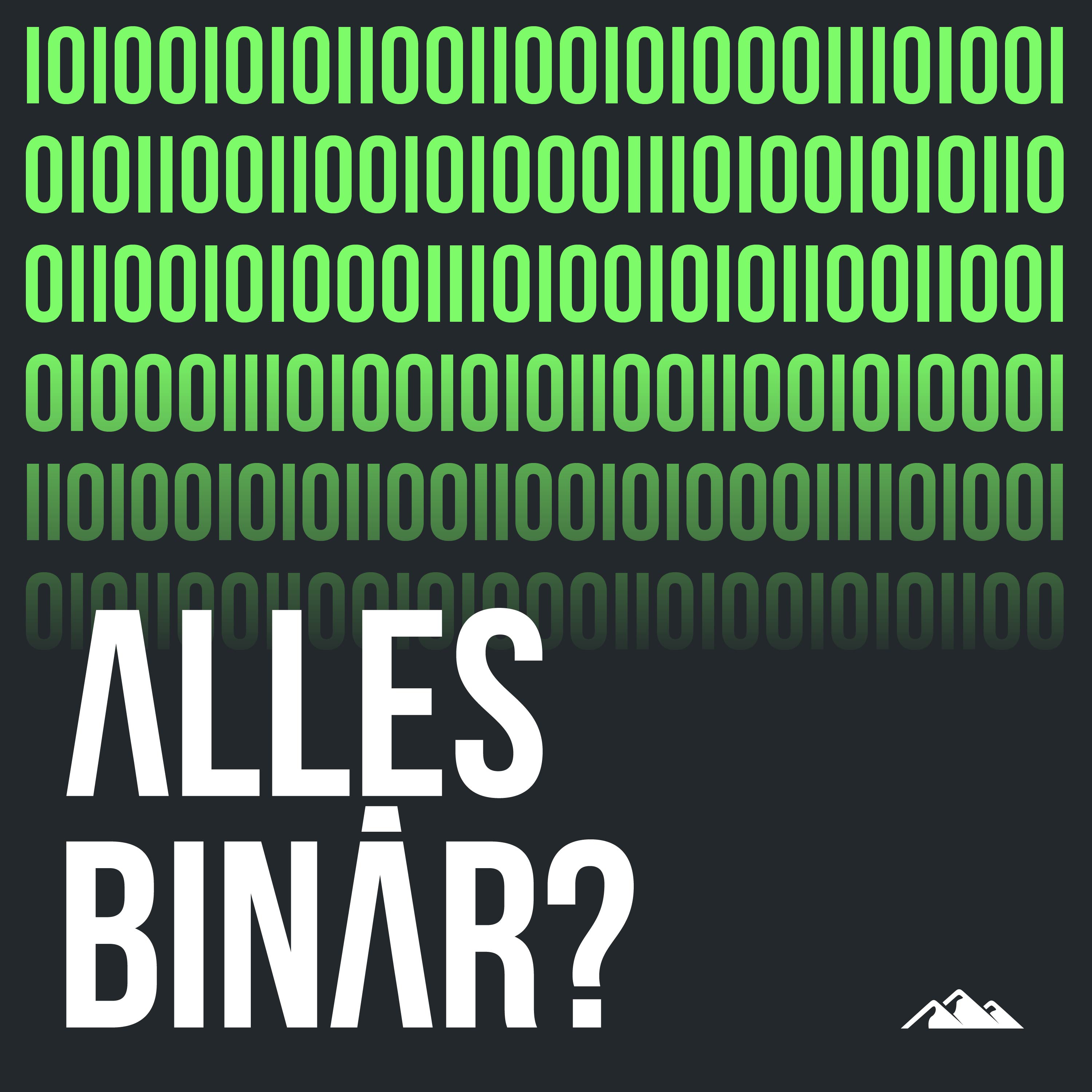 Alles Binär? Cover